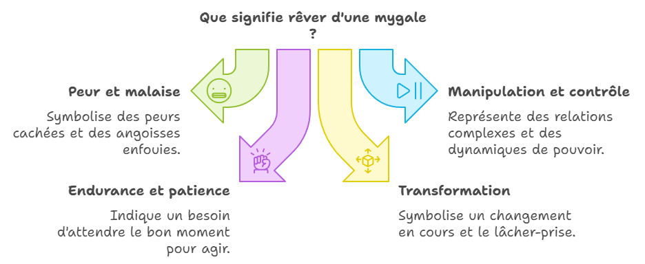 Que signifie rêver de mygale